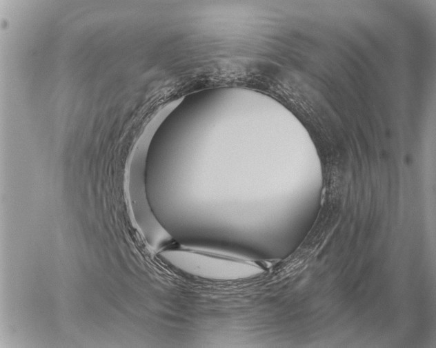 X0000059081153200510281716