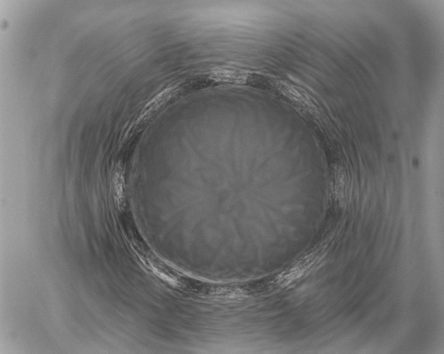 X0000059081154200510281716