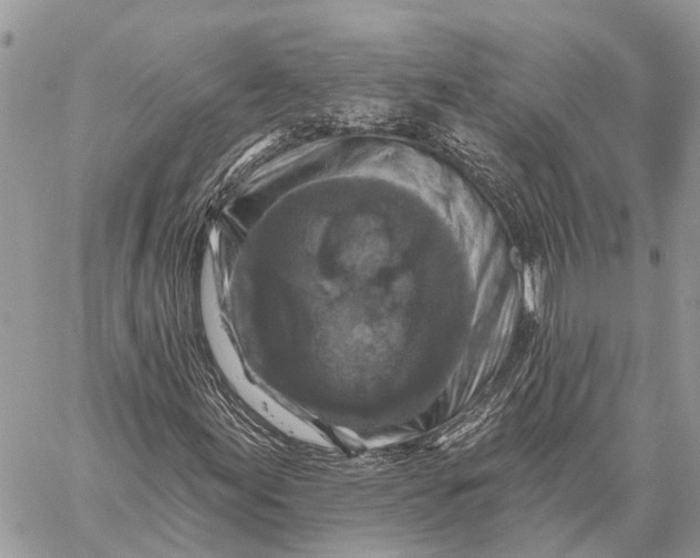 X0000059081155200510281716