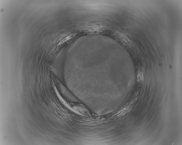 X0000059081156200510281716