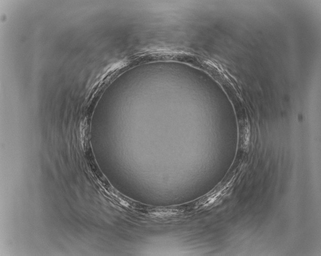 X0000059081157200510281716