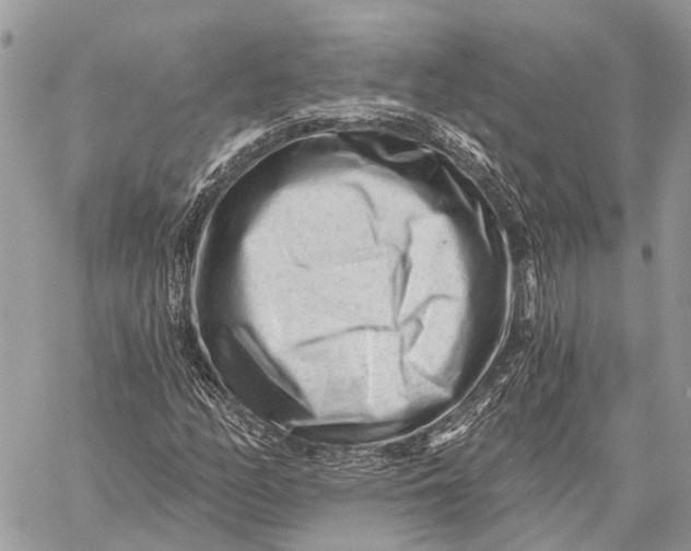 X0000059081158200510281716