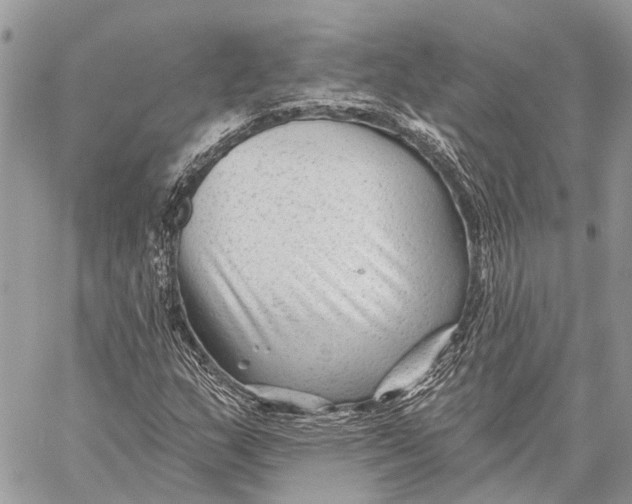 X0000059081159200510281716