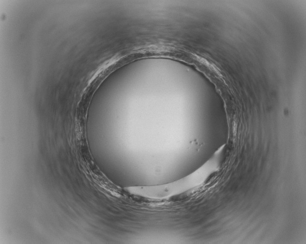 X0000059081160200510281716