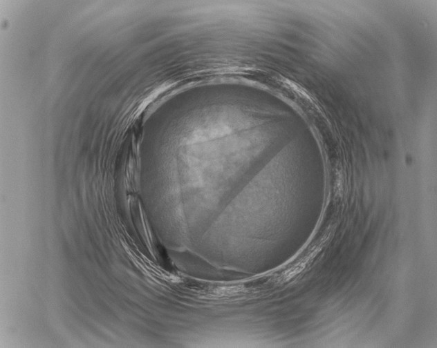 X0000059081161200510281716