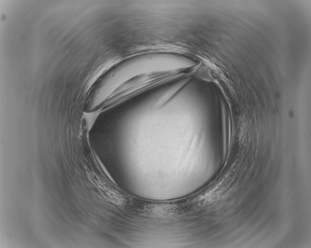 X0000059081163200510281716