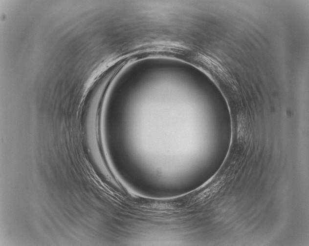 X0000059081164200510281716