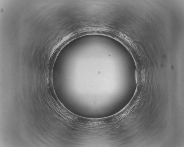 X0000059081165200510281716