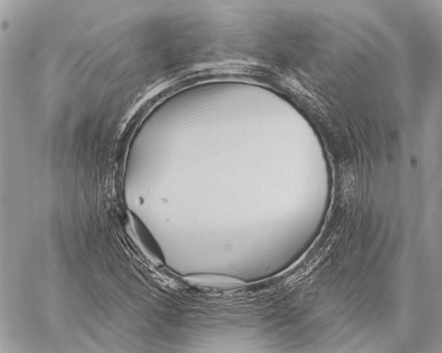 X0000059081166200510281716