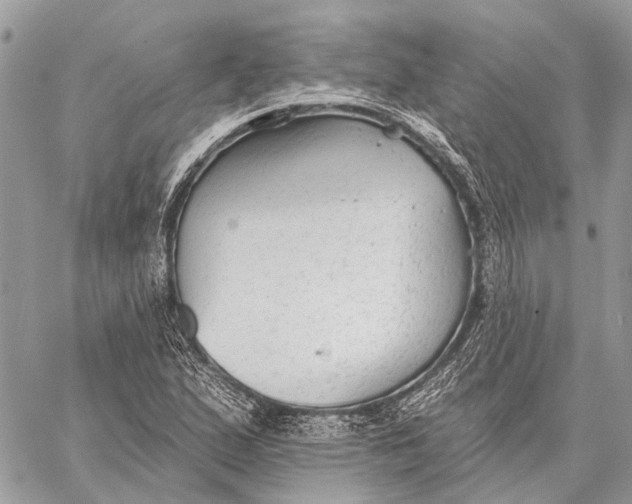 X0000059081167200510281716