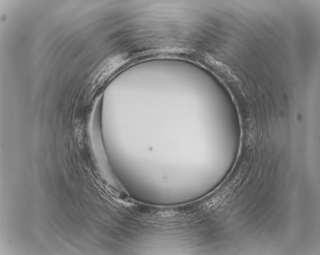 X0000059081169200510281716