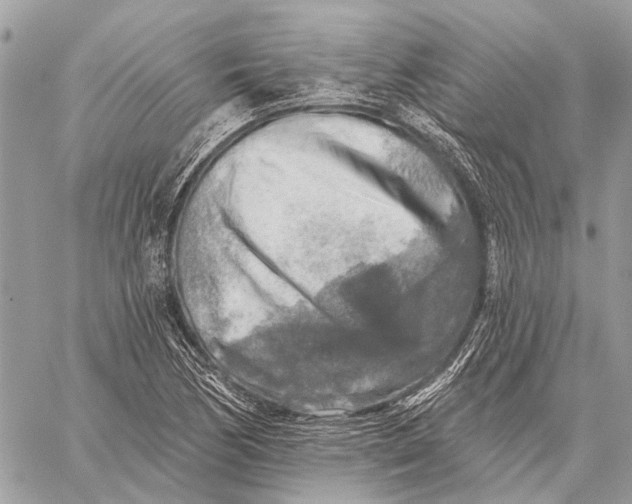 X0000059081170200510281716