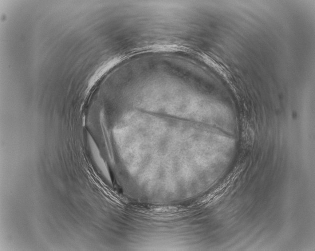 X0000059081171200510281716