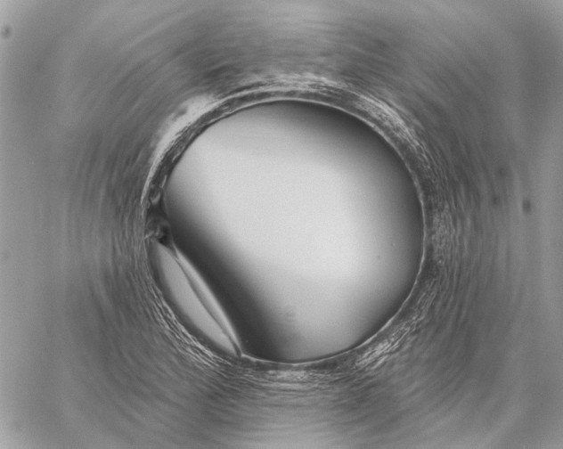 X0000059081172200510281716