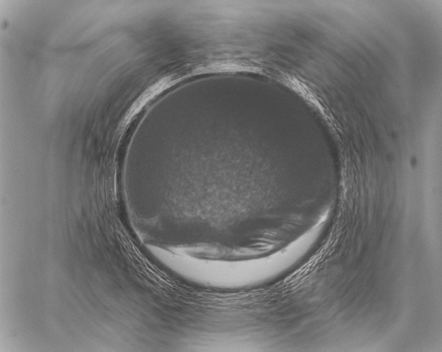 X0000059081173200510281716