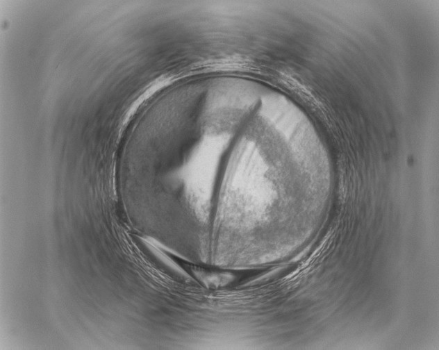 X0000059081174200510281716