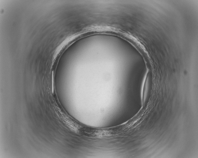 X0000059081175200510281716