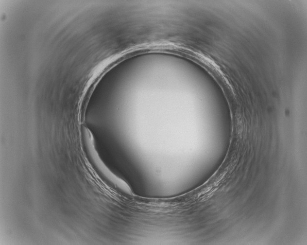 X0000059081176200510281716