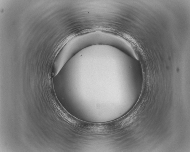 X0000059081177200510281716