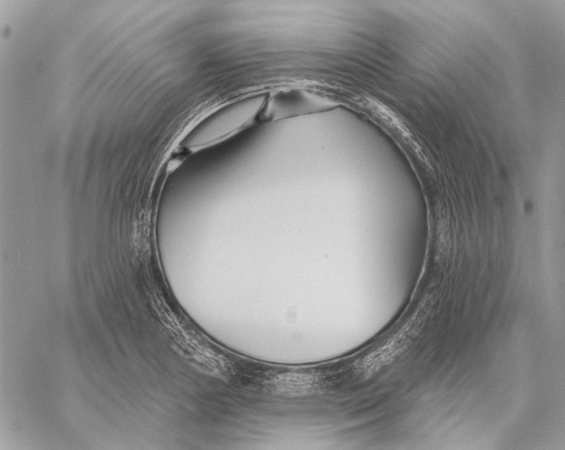 X0000059081178200510281716