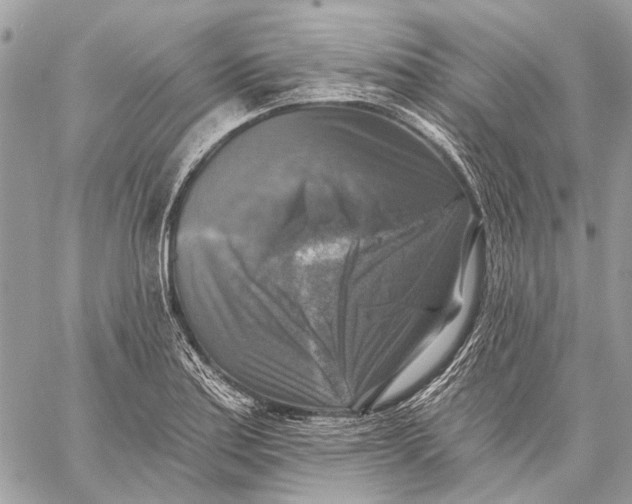 X0000059081179200510281716