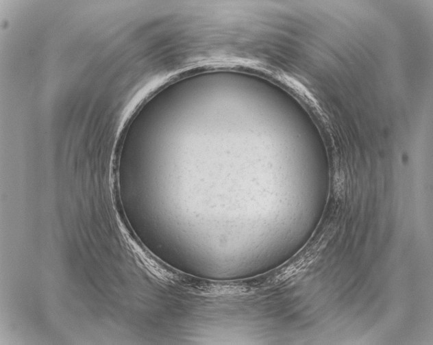 X0000059081183200510281716