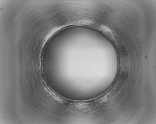 X0000059081184200510281716