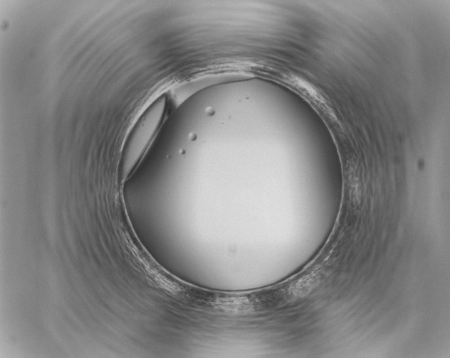 X0000059081186200510281716