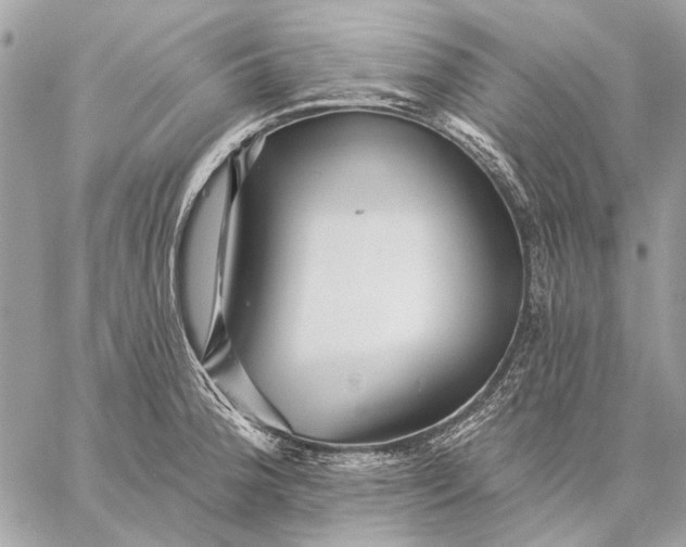 X0000059081188200510281716