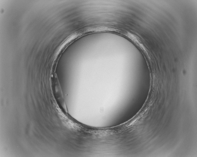 X0000059081189200510281716