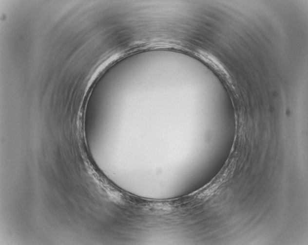 X0000059081190200510281716