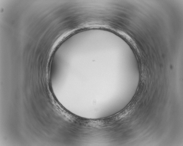 X0000059081191200510281716