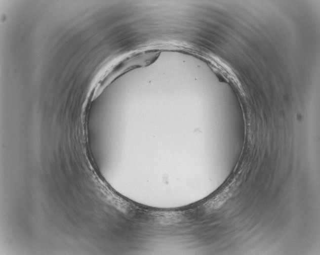 X0000059081192200510281716