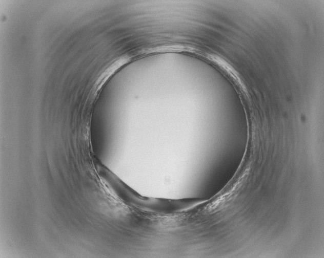 X0000059081193200510281715