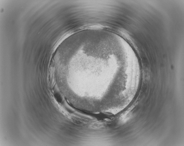 X0000059081194200510281715