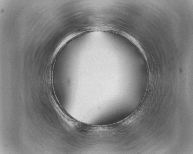 X0000059081195200510281715