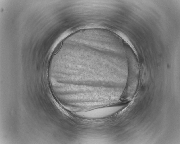 X0000059081197200510281715