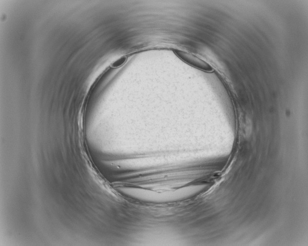 X0000059081198200510281715