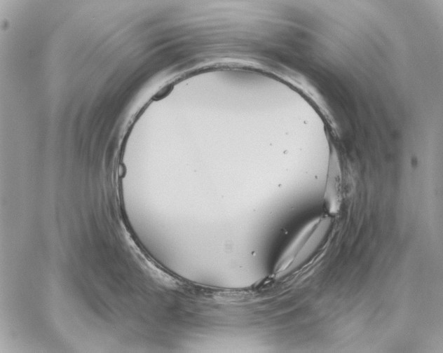 X0000059081199200510281715