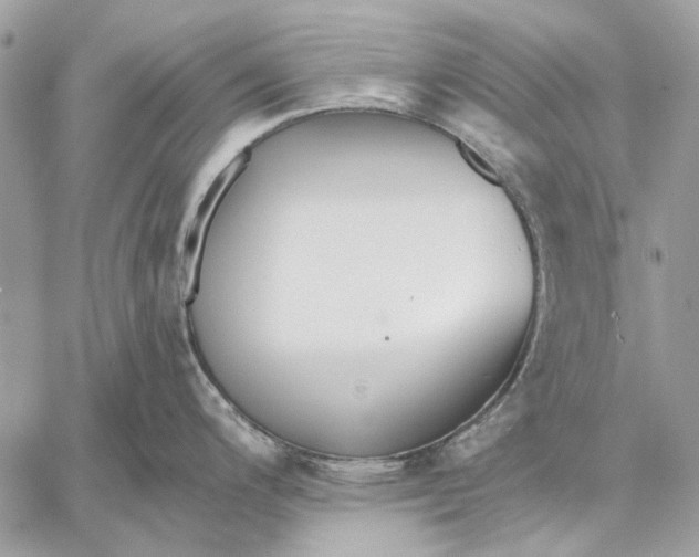 X0000059081200200510281715