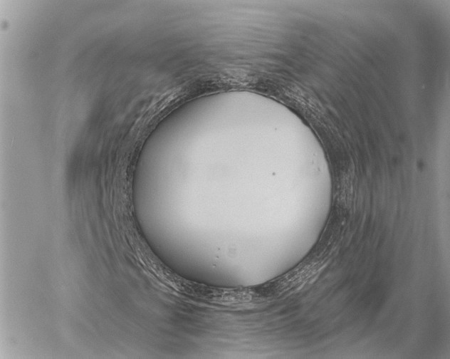 X0000059081201200510281715