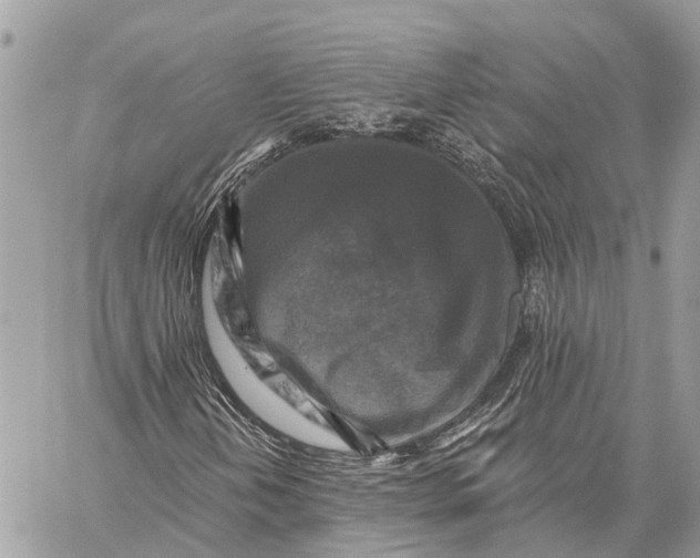 X0000059081202200510281715