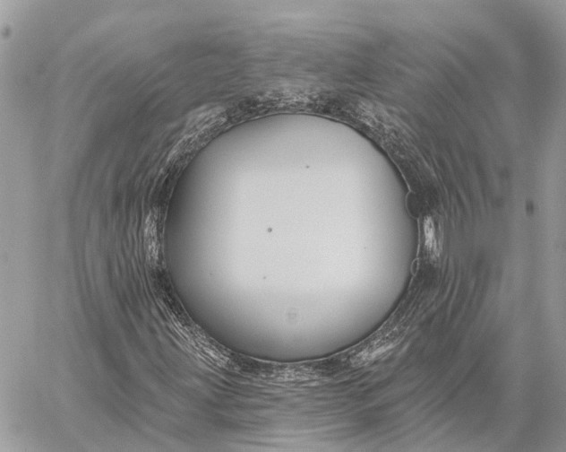 X0000059081203200510281715