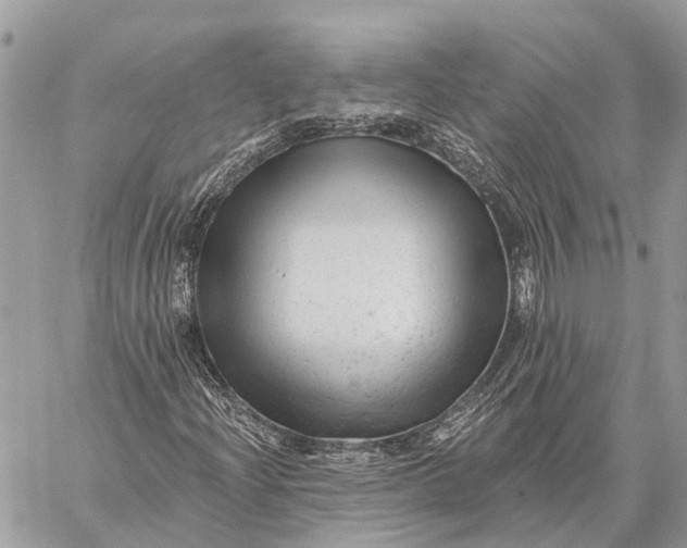 X0000059081204200510281715