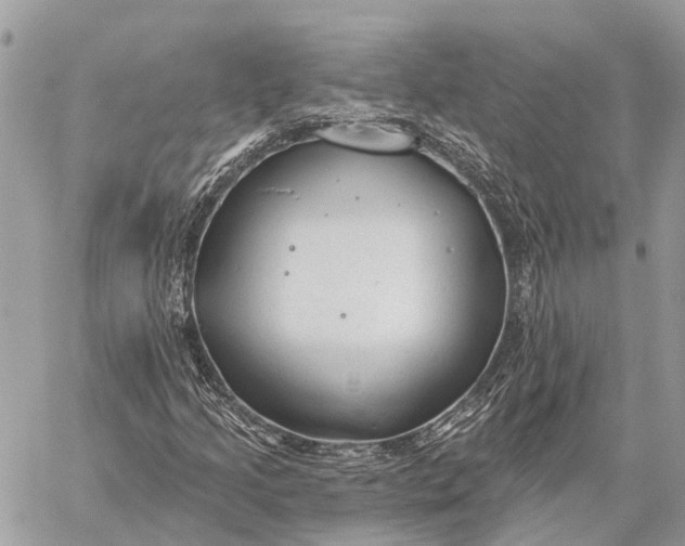 X0000059081205200510281715