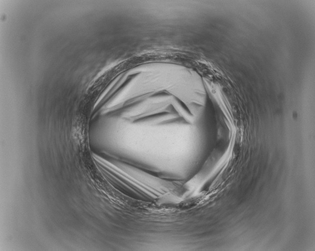 X0000059081206200510281715