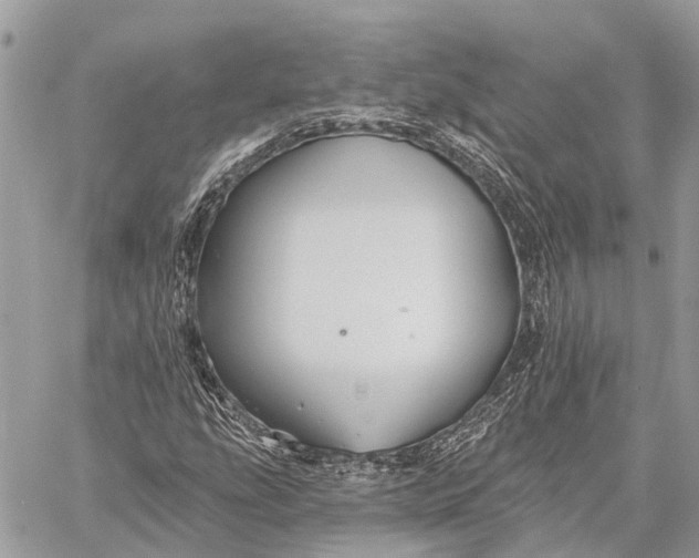 X0000059081207200510281715