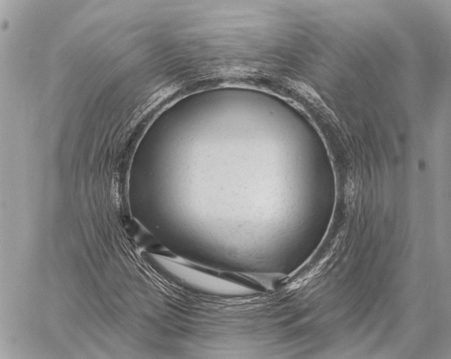 X0000059081209200510281715