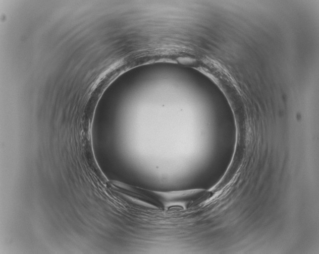 X0000059081210200510281715