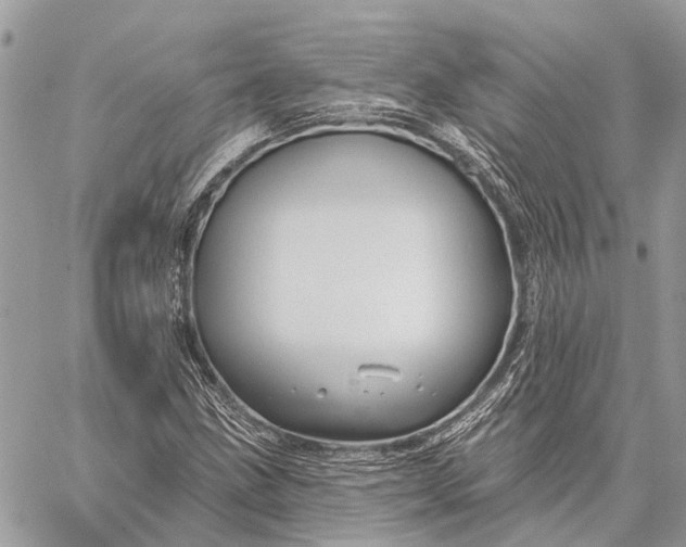 X0000059081211200510281715